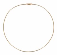 Collana Pesavento Donna Dna in Argento WDNAG1060 - WDNAG1060